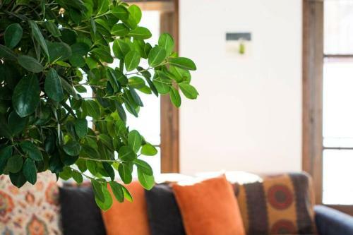 Apartamento Santo Cristo 11, Frigiliana