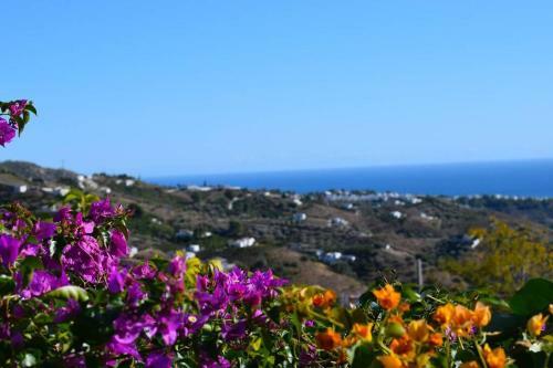 Apartamento El Quinto Pino, Frigiliana