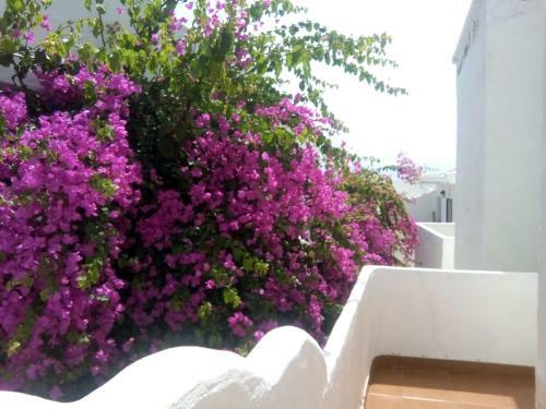 Apartamento Faro De Sardina