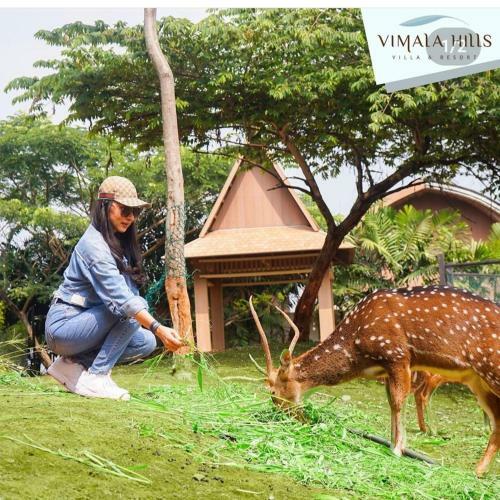 Villa Krakatau Vimala Hills