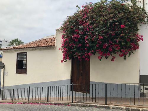 Apartamento Estudio La Penca