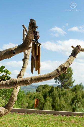 Apartamento Finca So�ada - Nudist Resort