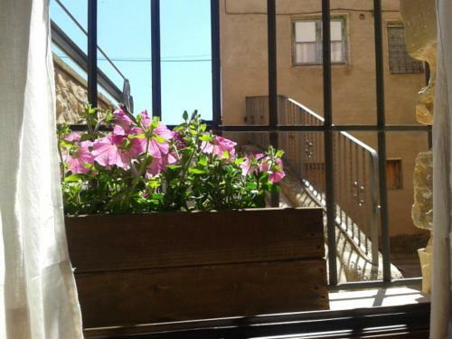 Agroturismo Apartamentos Tur�sticos Pepe