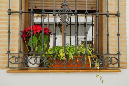 Apartamento Casa Rural Sierras De Gaucin