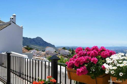 Apartamento Casa Rural Sierras De Gaucin