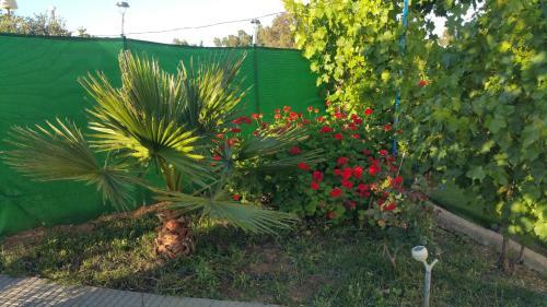 Agroturismo The Cozy Home
