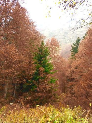 Apartamento Dulce Y Luminoso Ap. En Baqueira