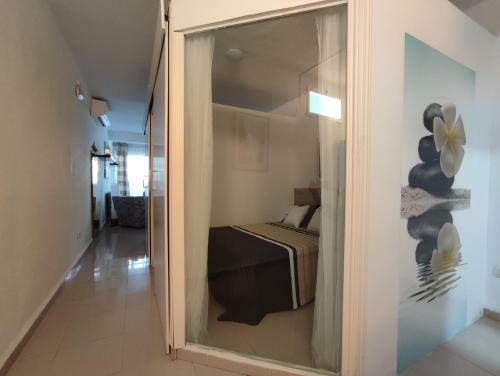Apartamento Royal Gines II