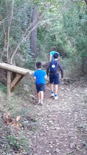 Les Moreres