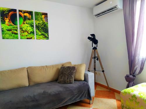 Movie Stars Apartment, Gandia
