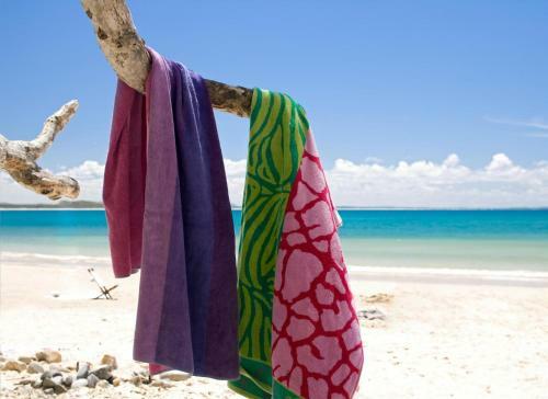Hotel Sheraton Noosa Resort & Spa