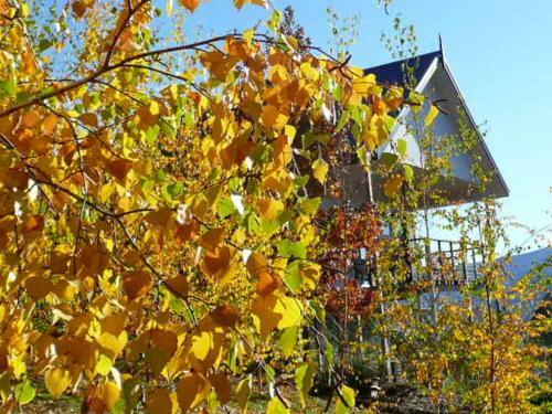 Villa Birches Luxury Spa Chalets