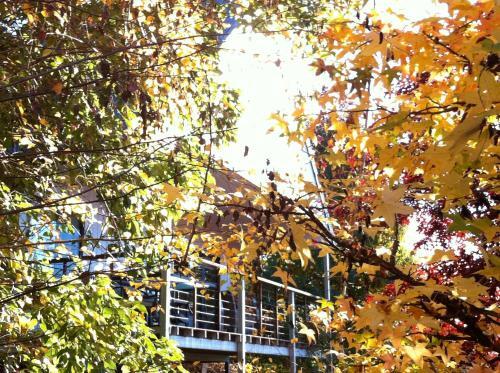 Villa Birches Luxury Spa Chalets