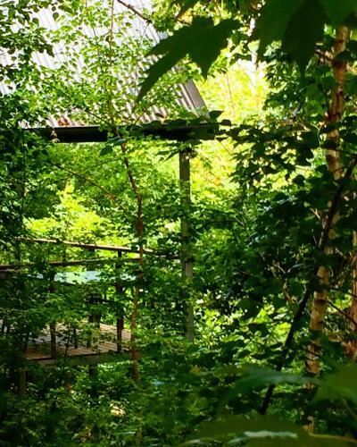 Villa Birches Luxury Spa Chalets