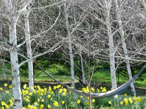 Villa Birches Luxury Spa Chalets