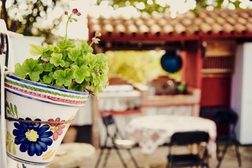 Vivienda Tur�stica La Huerta