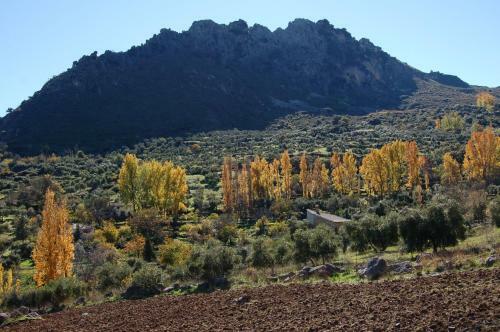Villa Los Cerezos