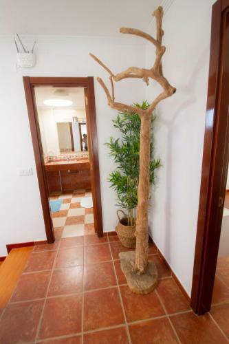 Apartamento Villa Magic 3 - By Medano4you