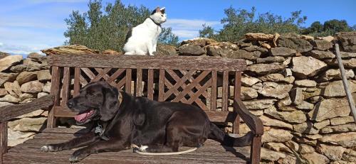 Apartamento Can Costals Naturaleza
