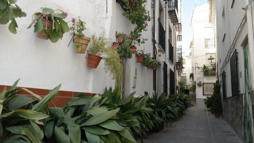 Casa San Tomas