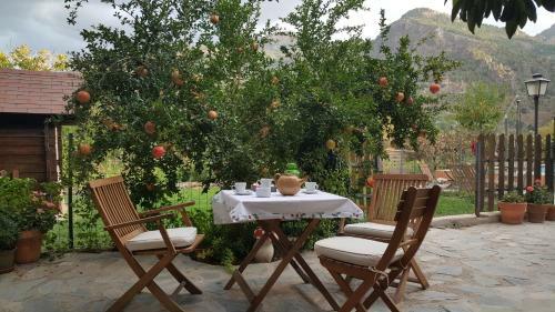 Apartamento Olivillas Garden