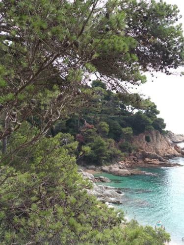 Apartamento Cala Salions, Chalana I