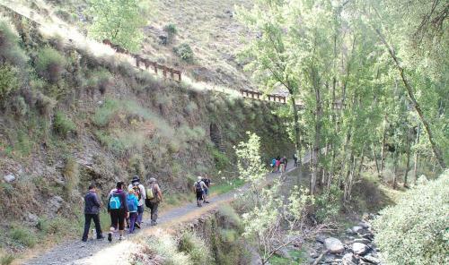 Apartamento �tico Con Chimenea En Sierra Nevada-g�ejar Sierra