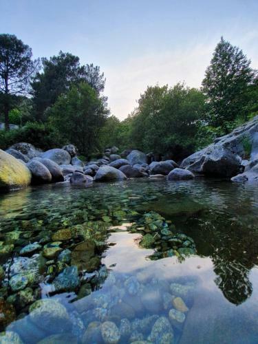 Apartamento La Estrella De Gredos