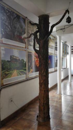 Hostal Hotel 100