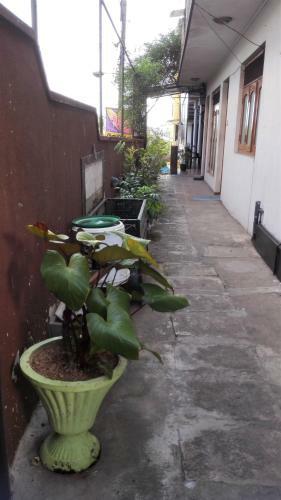 Hostal Hotel 100