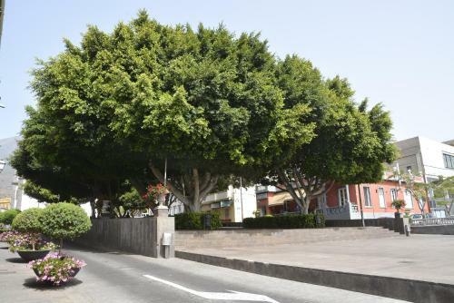 Apartamento Y �tico Zona Rural
