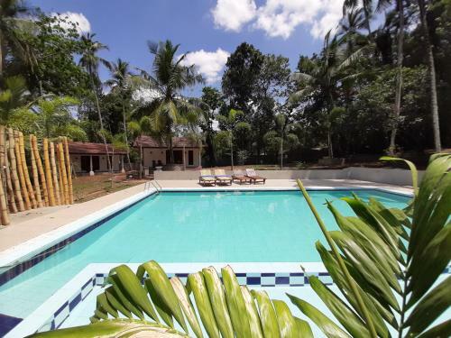 Hotel Jackland Holiday Cabanas