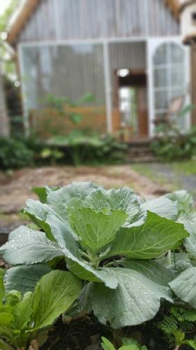 Apartamento Nh� C?a Ng?ng - Goose Home