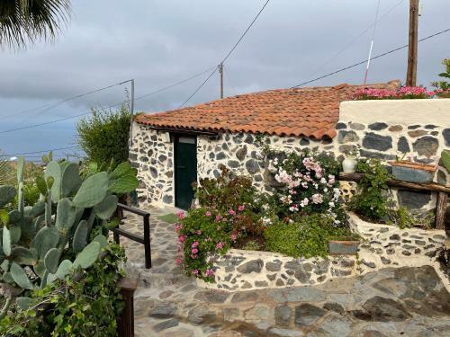 Casa Verde