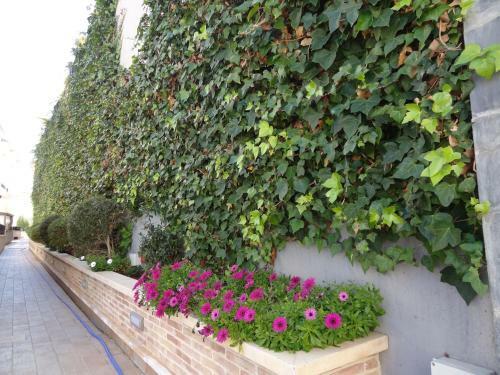 Guardamar Hill Sea View Apartment