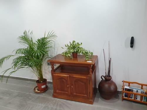 Apartamento Las Palmeras