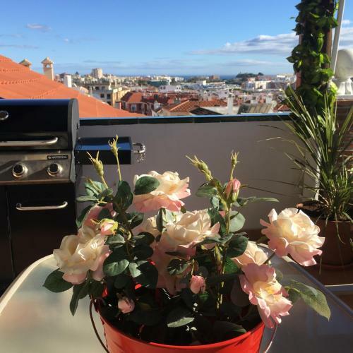 Apartment With Private Patio