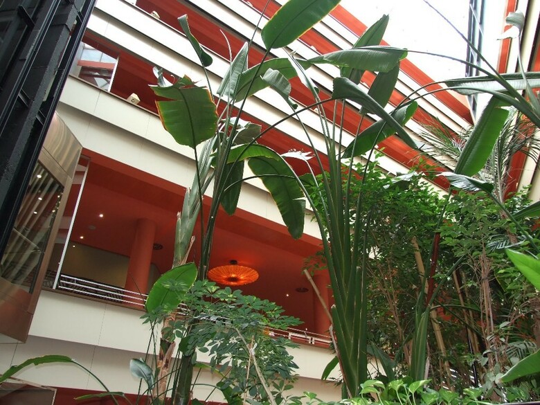 Hotel Ribera De Triana