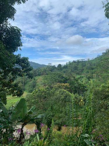 Hostal Evergreen Villa - Sinharaja