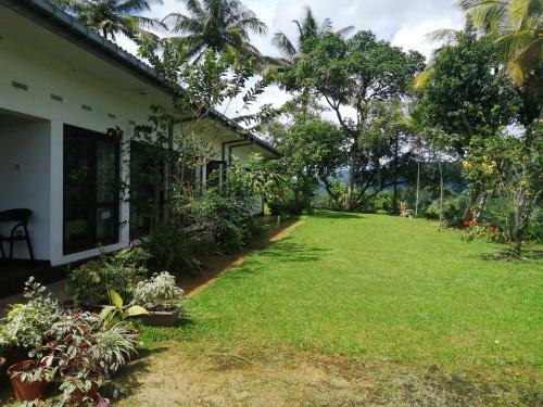 Richiland Tea Estate Bungalow
