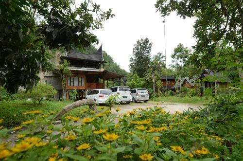 Lodge Canyon Jungle Stay