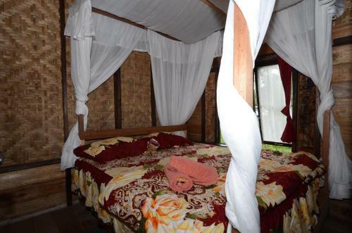 Lodge Canyon Jungle Stay