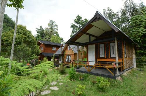 Lodge Canyon Jungle Stay