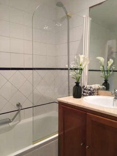 Apartamento Piso Con Maravillosas Vistas