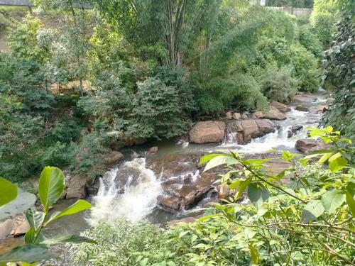 Hostal Rock Side River View