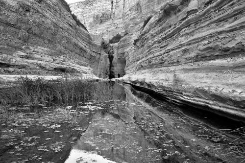 Apartamento Zimmer Near Dead Sea