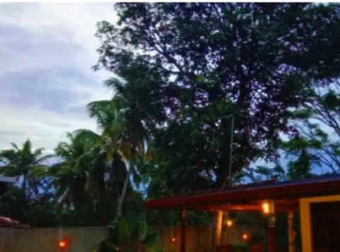 Bed & Breakfast Hiri Moon Villa