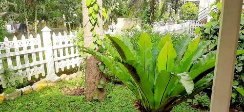 Hotel Cinnamon Garden - Hiriketiya
