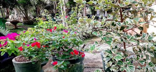 Hotel Cinnamon Garden - Hiriketiya