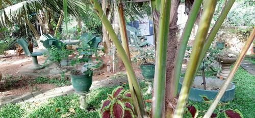 Hotel Cinnamon Garden - Hiriketiya